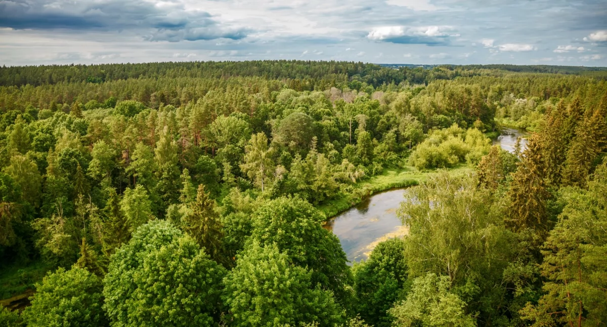 Bezpieczny wynajem auta za granicą – na co zwrócić uwagę na Litwie?