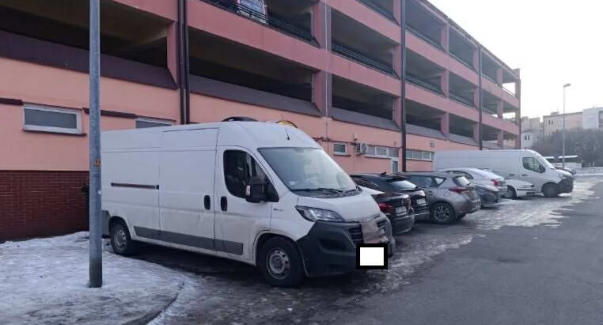 Pies zamknięty w aucie na mrozie na płockim osiedlu. Interweniowały służby 