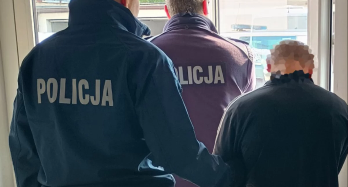 Zatrzymany trafił za kratki, a jego pies? Niezwykła postawa funkcjonariuszy z Gostynina