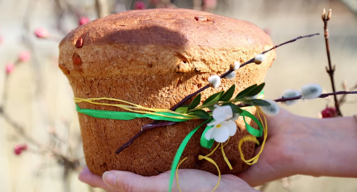 Przepisy kulinarne Izabeli Chudzyńskiej. Włoska babka panettone 