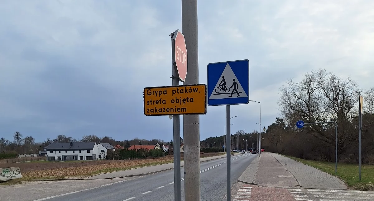 Wysoce zjadliwa grypa ptaków w Borowiczkach. Prawda? Tak! Trzeba się bać? Nie!