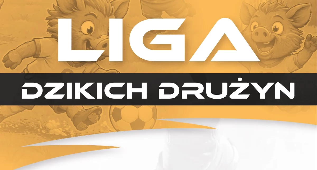Nowa inicjatywa dla młodych miłośników piłki nożnej. W Płocku rusza Liga Dzikich Drużyn 
