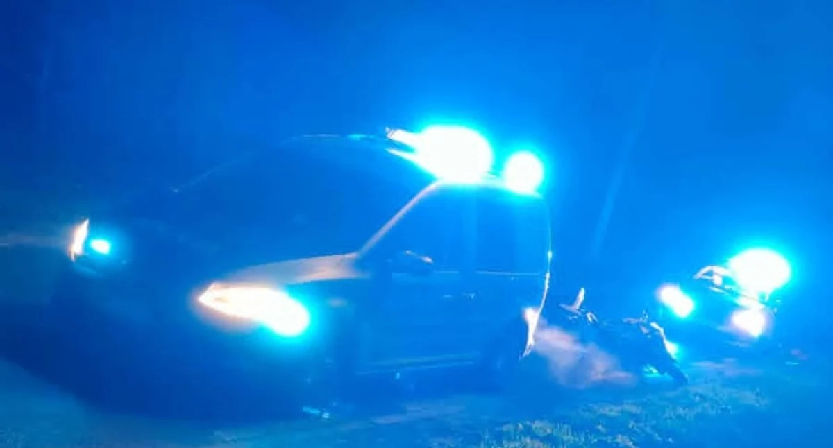 Motocyklista uderzył w sarnę i trafił do szpitala. Niebezpieczny wypadek w Brwilnie 