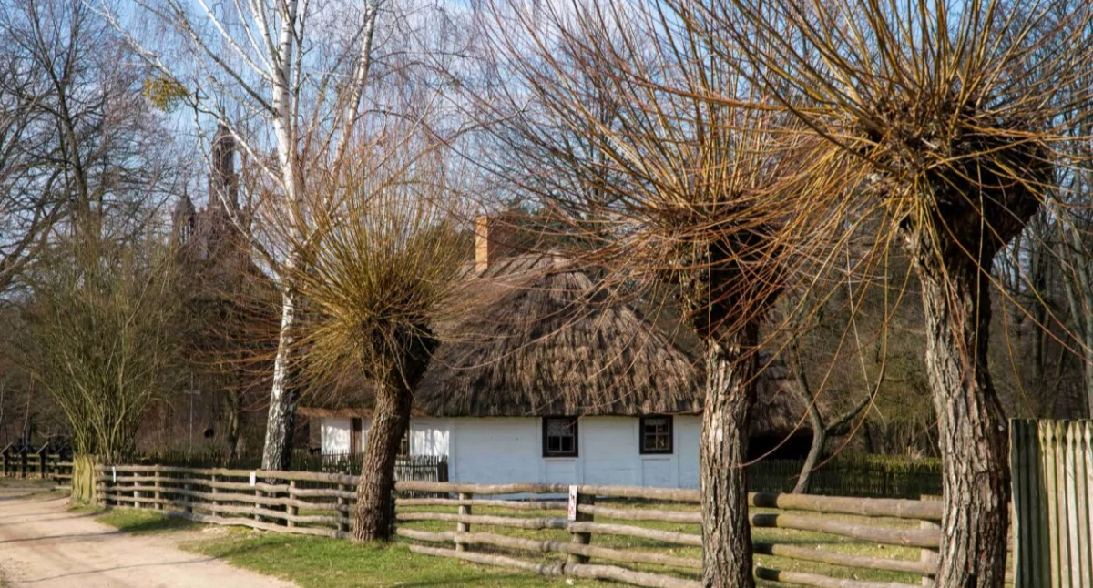 Muzeum Wsi Mazowieckiej w Sierpcu, Skansen Osadnictwa Nadwiślańskiego w Wiączeminie Polskim.  Dwa oblicza dawnej wsi