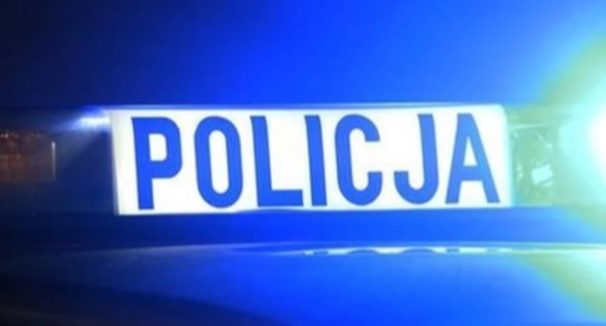 Błyskawiczna reakcja służb pomogła zapobiec tragedii