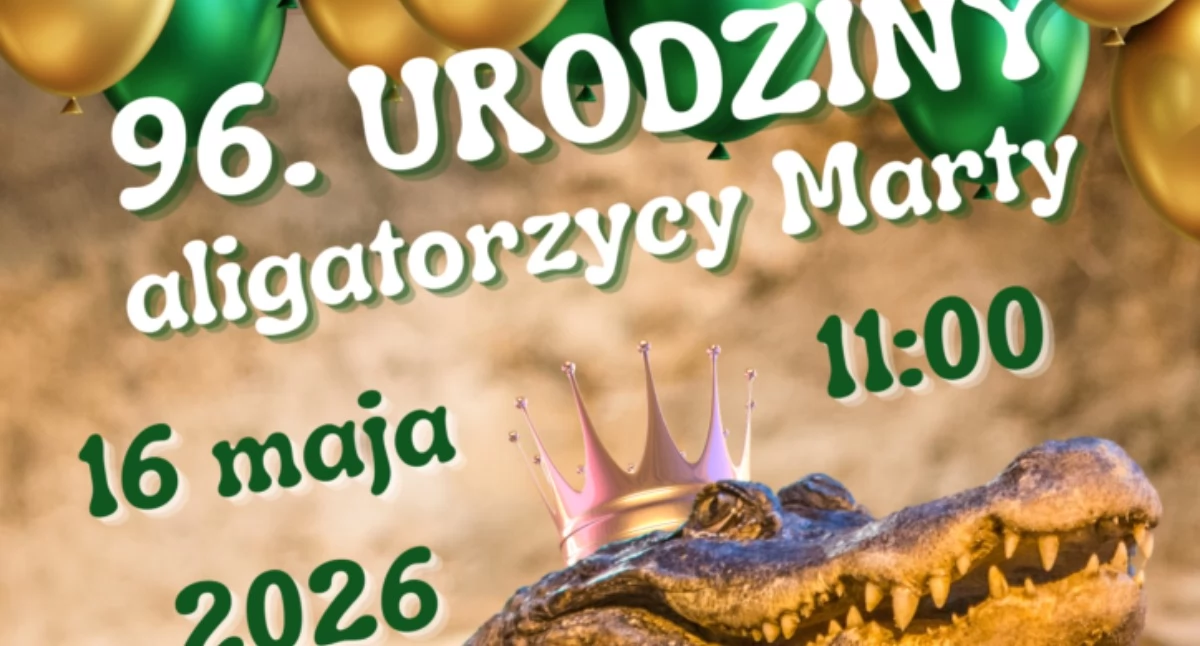 Aligatorzyca Marta kończy 96 lat. Najstarsza gwiazda płockiego zoo zaprasza na urodziny