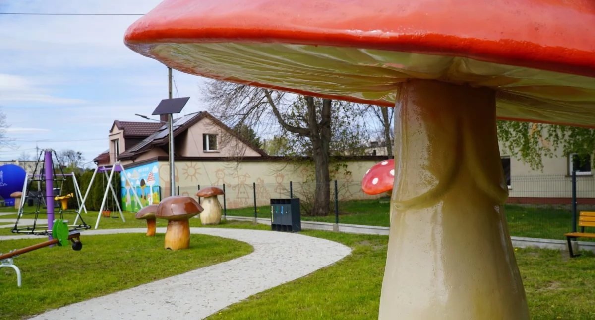 W Gostyninie powstał niecodzienny park... grzybów. Od dziś jest oficjalnie otwarty dla mieszkańców