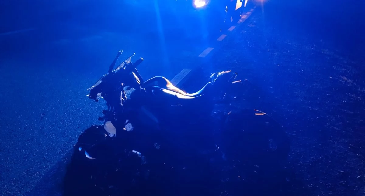 Zderzenie motocykla z łosiem. Kierująca nie żyje