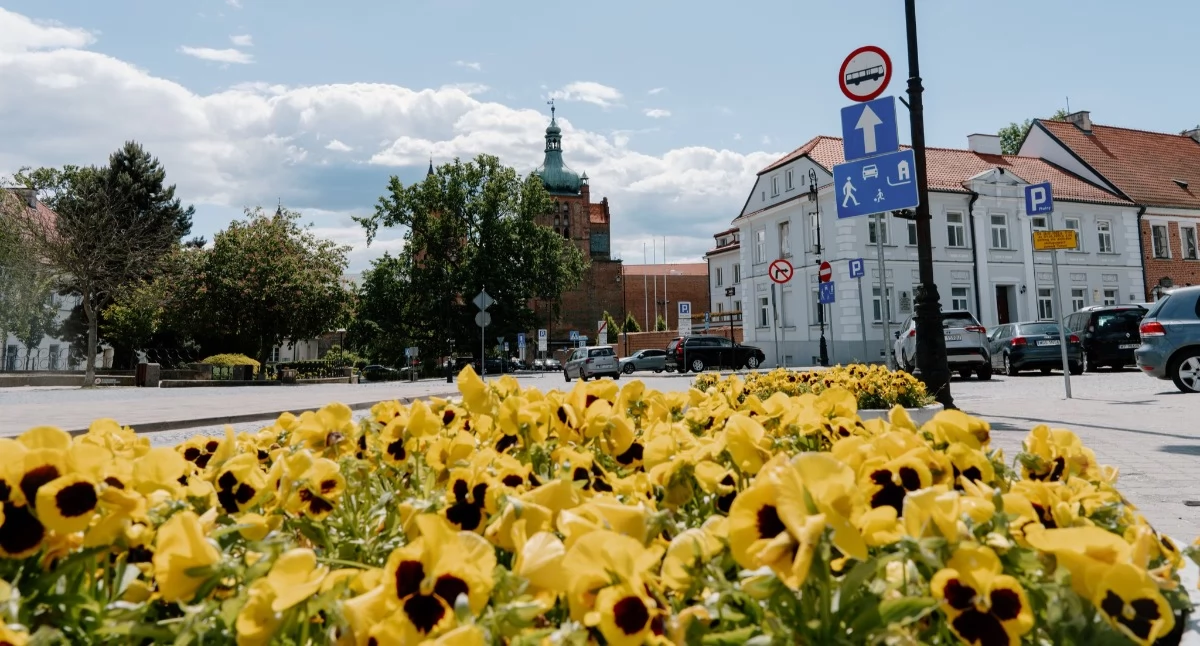1400 kwiatów do rozdania. Kto pierwszy, ten lepszy!