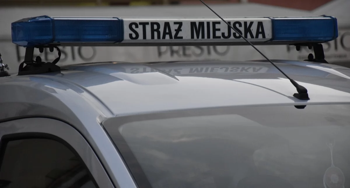 Mężczyzna szarpał płaczącą czterolatkę na ulicy. Nie przestał nawet na widok strażniczek miejskich