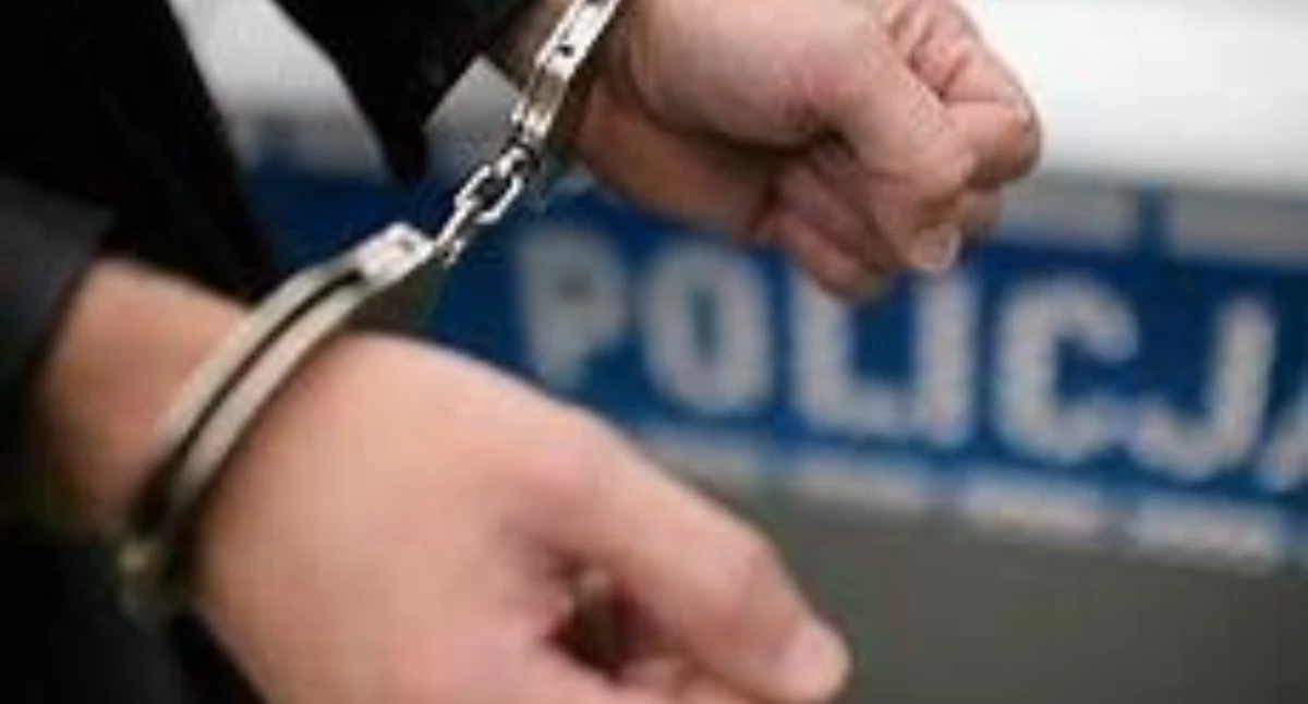 Kradzież, pościg, atak na policjantkę i ochroniarza. 32-latek z zarzutami