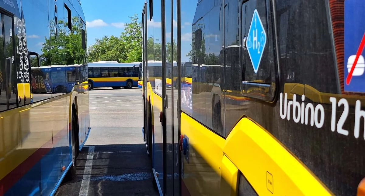 Nie trzeba będzie kasować biletów! Darmowe przejazdy autobusami podczas Dni Historii Płocka