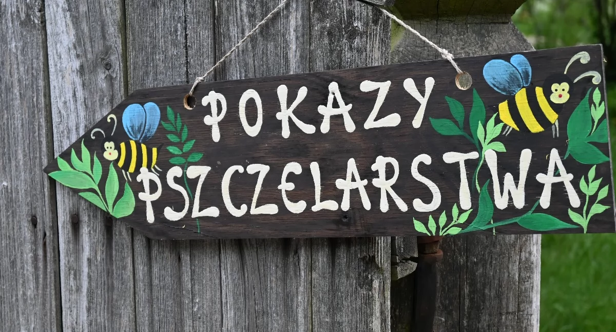 Deszcz nie przeszkodził. Miodobranie znów przyciągnęło tłumy do skansenu w Sierpcu