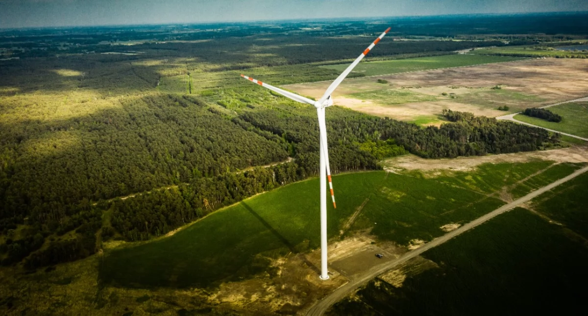 Bioróżnorodność w strategii ORLEN: Grupa przyjmuje plan działań do 2030 roku