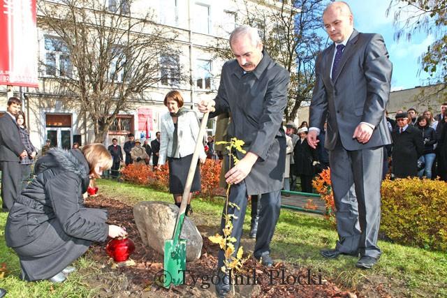 Dęby będą przypominać o historii