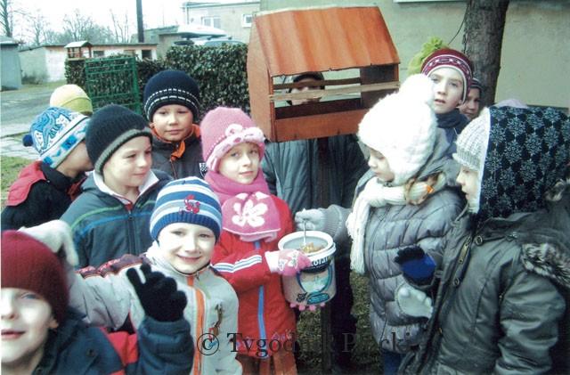 Doniesienia z ptasich stołówek
