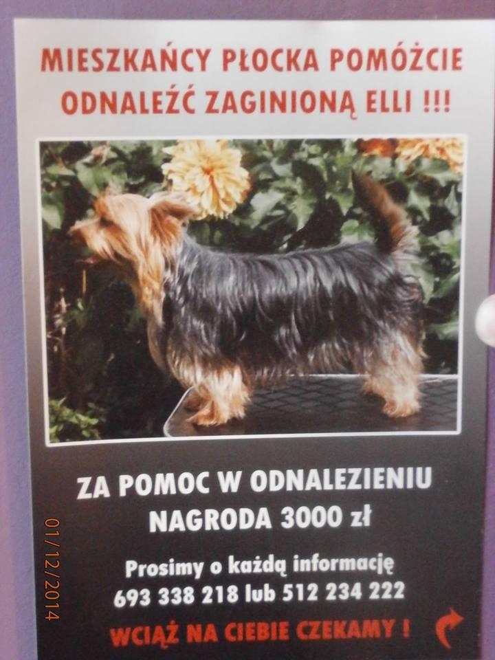 Kto widział Elli? 