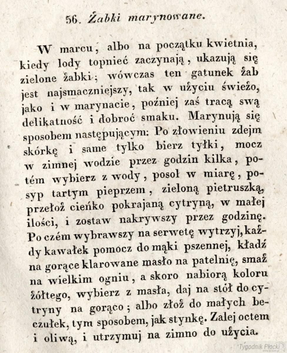 Przepis na marynowane żabki 