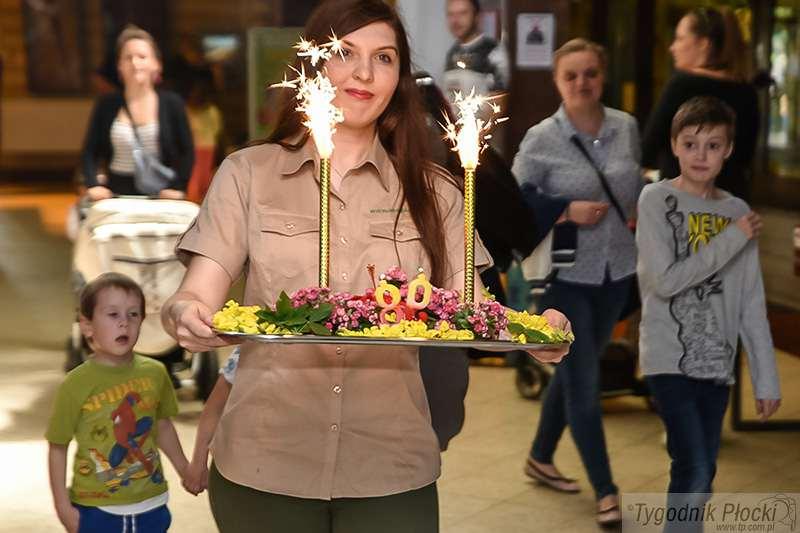 Urodziny w ZOO. Marta kończy 89 lat [ZDJĘCIA]
