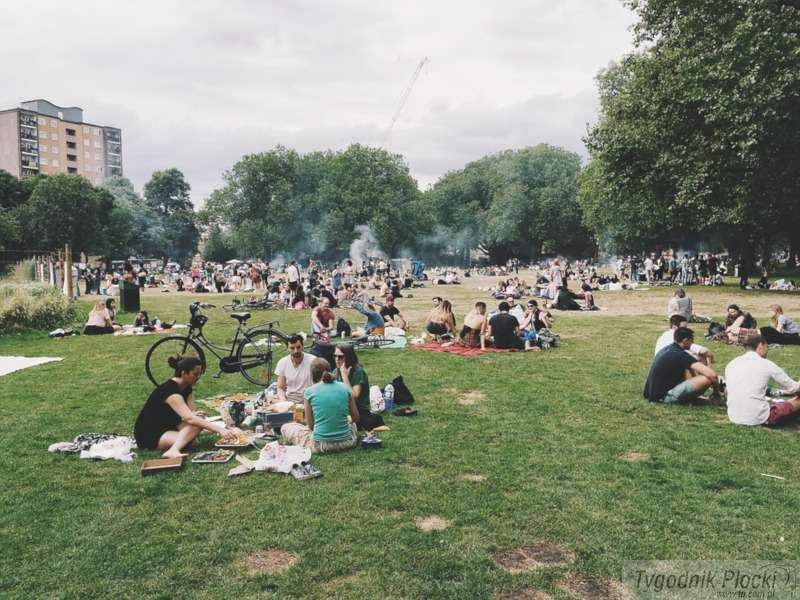 Jubileuszowy piknik w PWSZ