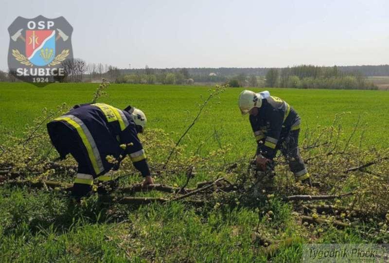 102 interwencje straży pożarnej: pożary, uszkodzone dachy, połamane drzewa