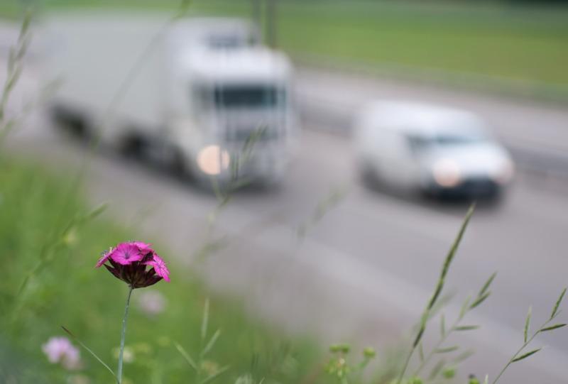 „Smog” na drogach. Trwają policyjne kontrole