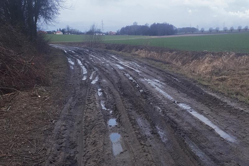 Mieszkańcy Brochocina brodzą w błocie.