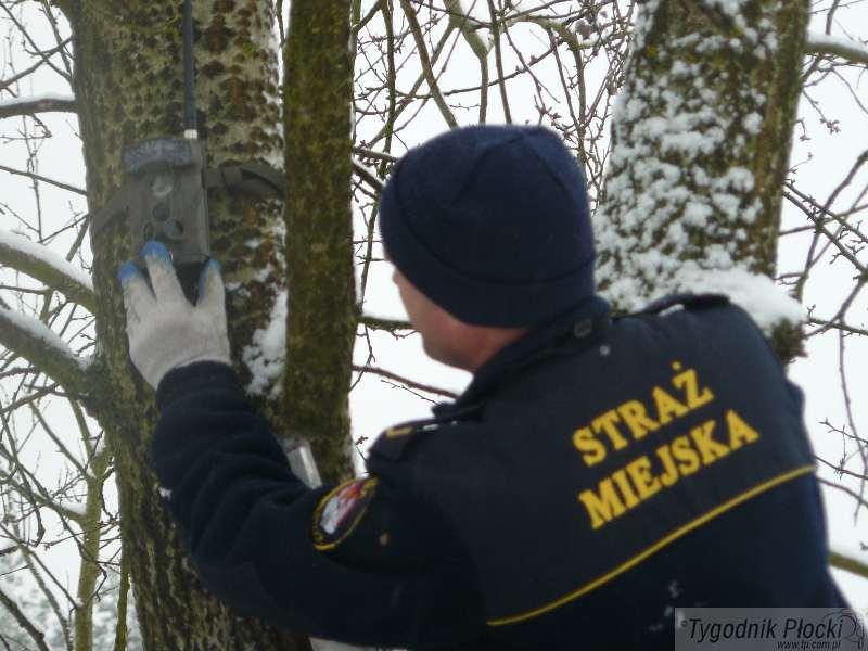 Fotopułapki już robią zdjęcia