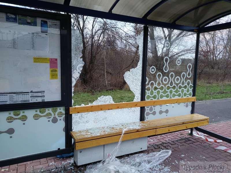 Wandale zniszczyli wiaty przystankowe w Borowiczkach