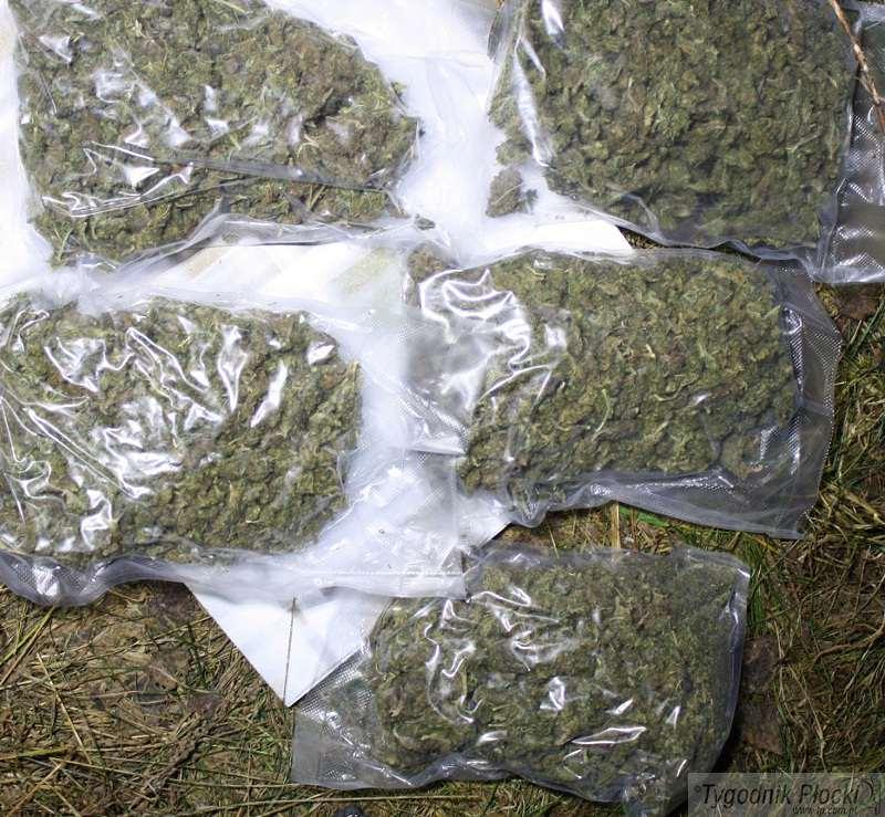 Marihuana i nielegalna linia do produkcji bimbru w Borkowie Kościelnym