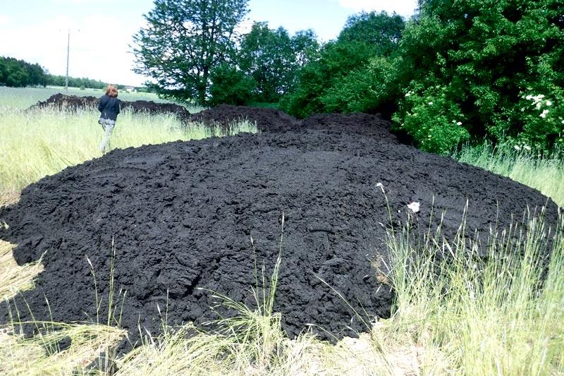 W maju na jednej z posesji wylano czarną maź