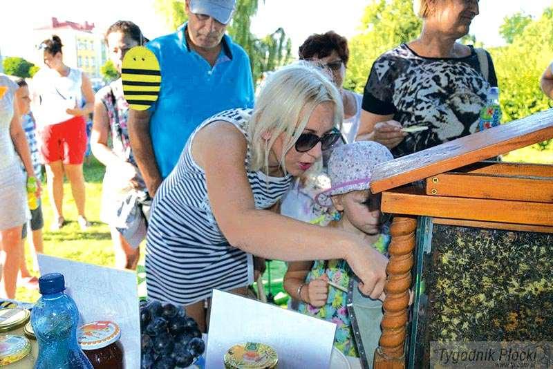 Pszczela prowokacja