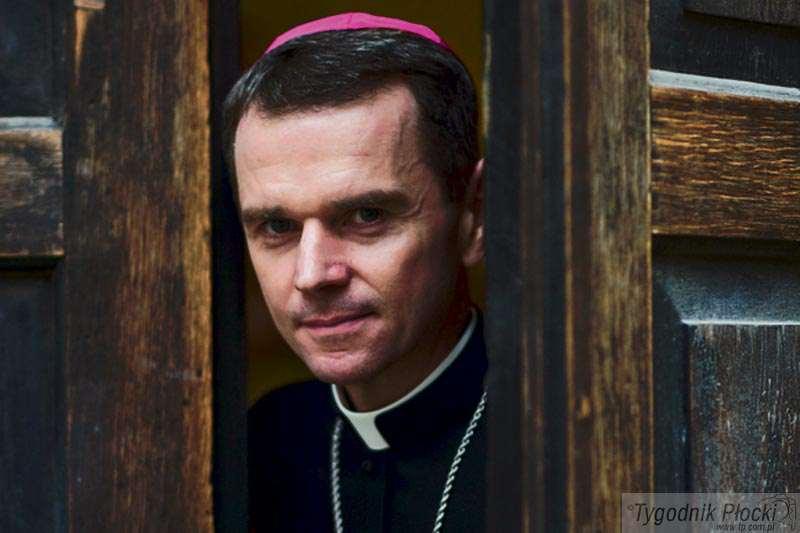 Kibicuję płockim drużynom