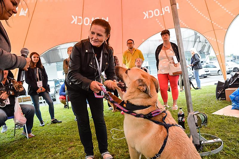 Impreza na cztery łapy. III Dzień z Psem w Płocku [ZDJĘCIA]