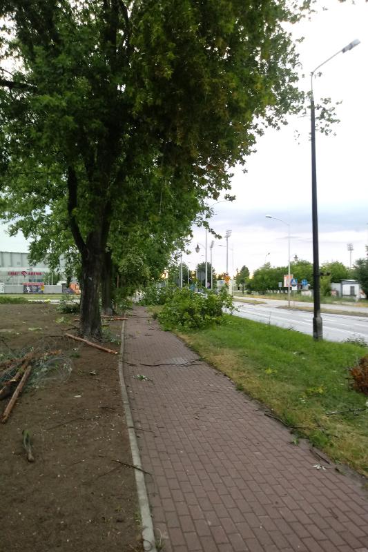 Niszczycielska wichura [ZDJĘCIA]