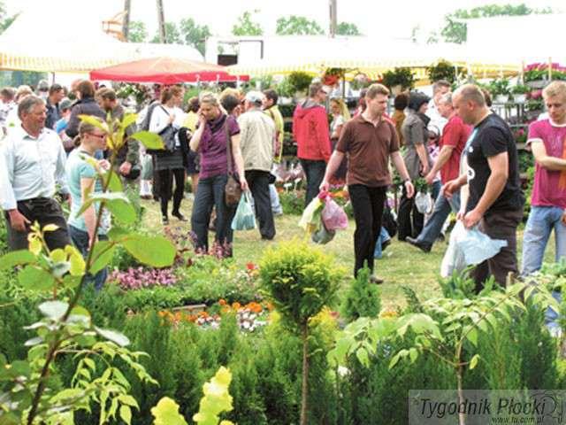 Giełda ogrodnicza na Nowym Rynku
