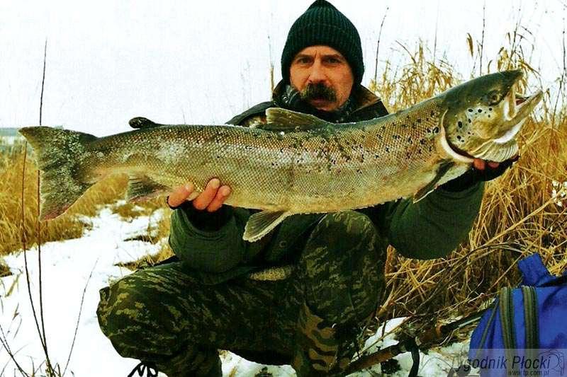 Początek  nowej fascynacji (4)