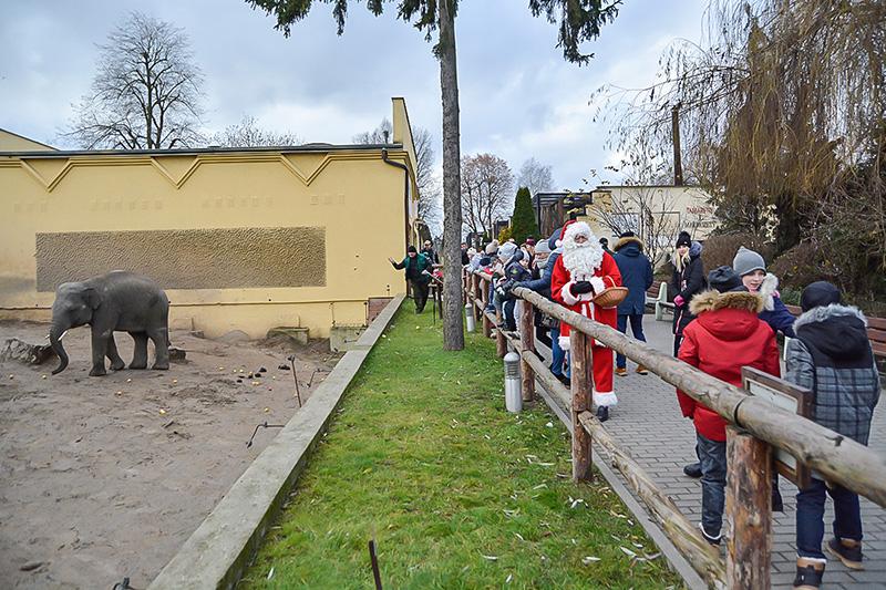 Pałac Mikołaja w ZOO [ZDJĘCIA]