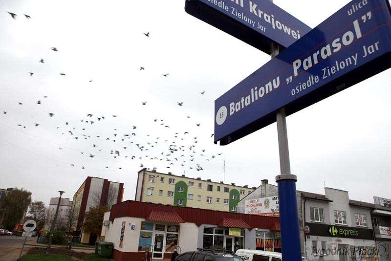Zemsta za śmierć ojca?