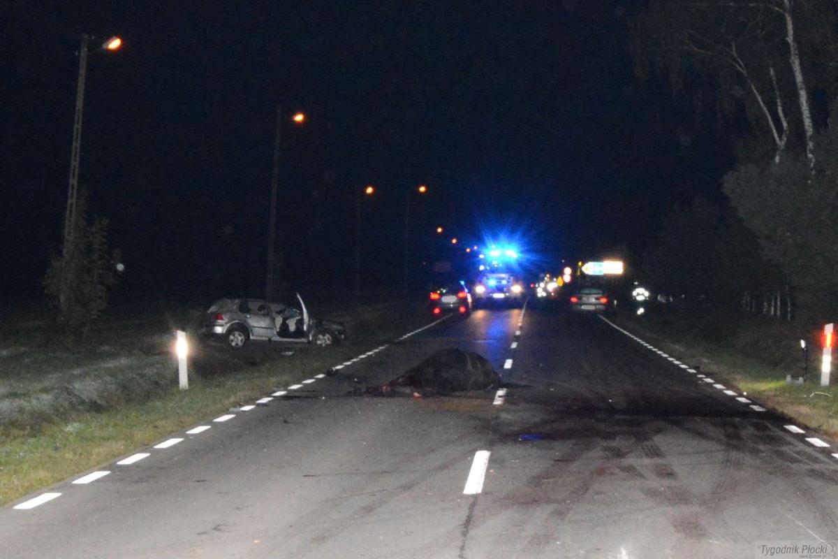 Spłoszony koń wbiegł pod samochód. Poważnie ranny kierowca w szpitalu