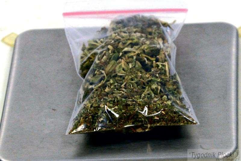 Marihuana w samochodzie
