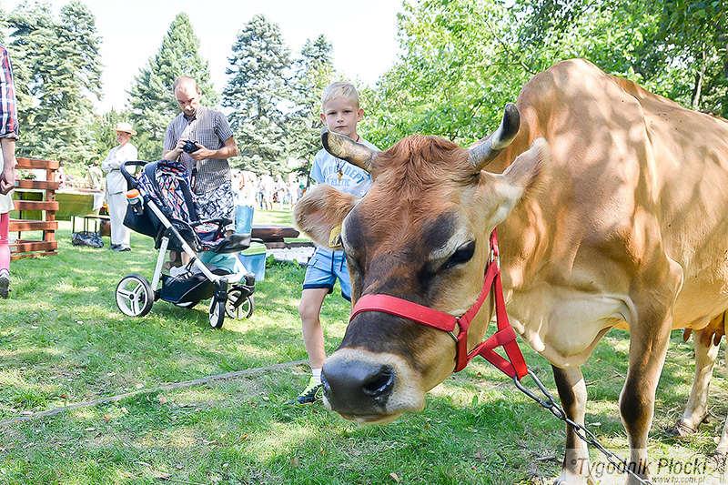 Wiejskie Klimaty w ZOO [ZDJĘCIA]