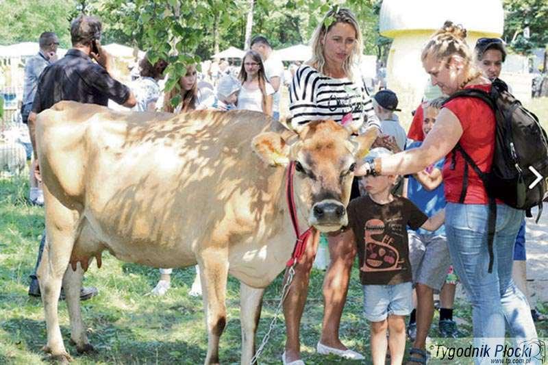 Wiejska niedziela w ZOO