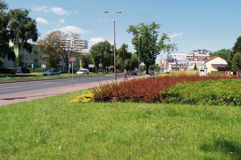 W Płocku przybędzie 13 kilometrów ścieżek rowerowych