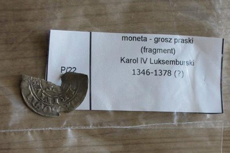 Mieszkaniec powiatu płockiego stanie przed sądem