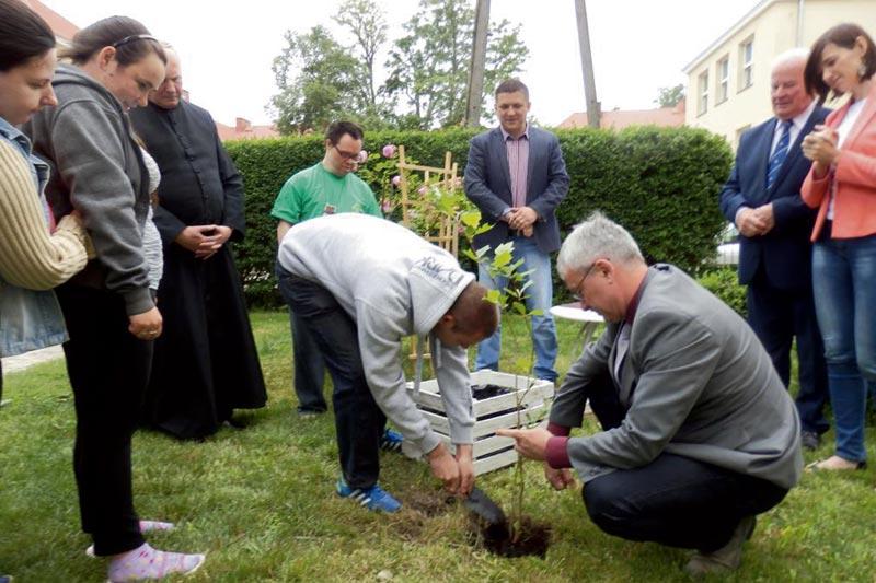Platan za aktywność