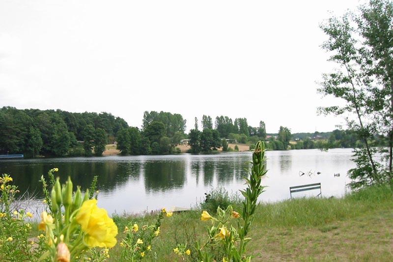 Sinice na „Patelni”!