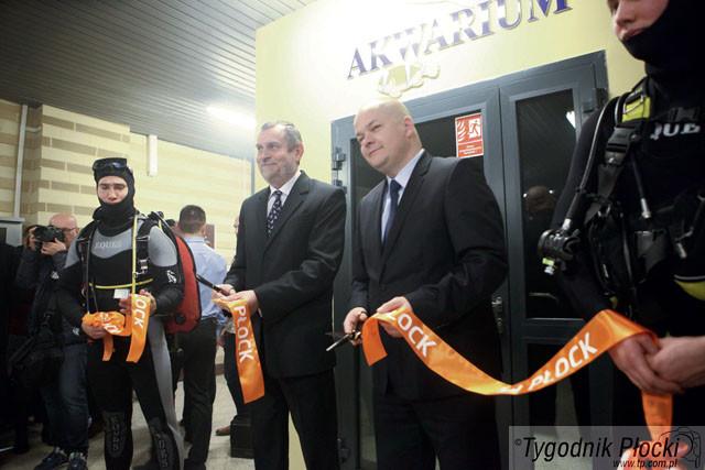 Spotkasz rekiny w płockim zoo