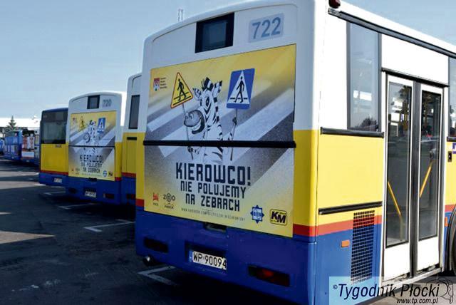 Nie polujemy na zebrach