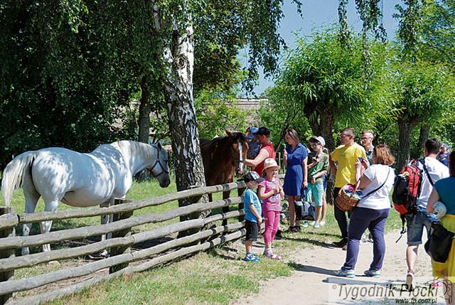 W skansenie za pół ceny